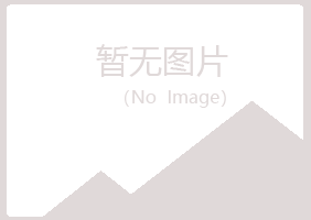 宁夏谷雪因特网有限公司